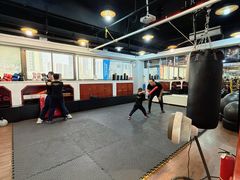 -温鉴良实用咏春拳