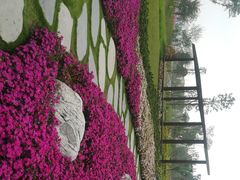 -府河摄影公园