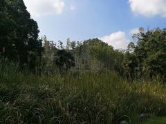 -杭州植物园