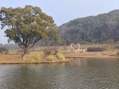 -无锡梅园公园