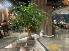 -园里火锅(仁和新城店)