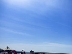 -碧海金沙