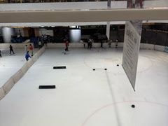 -TheRink大零溜冰场(IFS国金中心店)