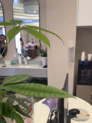 -壹加壹医疗美容·轻医美·美容外科