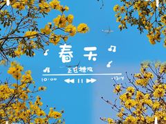 -洲头咀公园