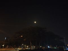 -华莱士·炸鸡汉堡(福德店)