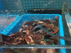 -曼格活海鲜·牛排自助(光明蓝鲸店)