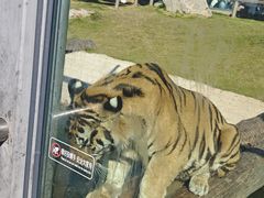 -西霞口神雕山野生动物世界
