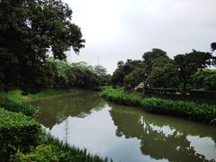 -鱼珠码头(轮渡站)