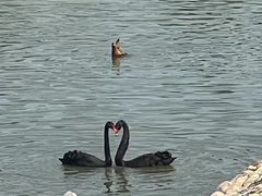 -青藏高原野生动物园