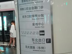 -大望路(地铁站)