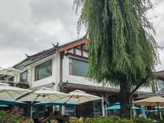 -春天里餐厅·云南创意菜特色美食(束河店)