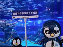 -成都浩海立方海洋公园