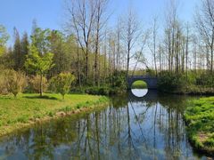 -溱湖国家湿地公园