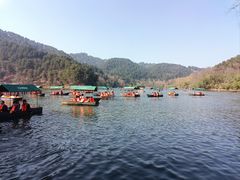 -黔灵山公园