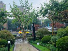 -荷风细雨·中国茶宴(碧云店)