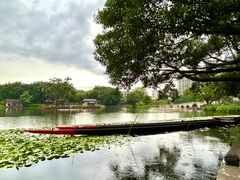 -荔湾湖公园