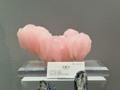 -湖南省地质博物馆