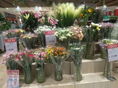 门面-AEON永旺(东方宝泰店)