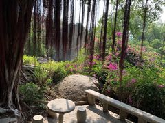 -鸿山公园