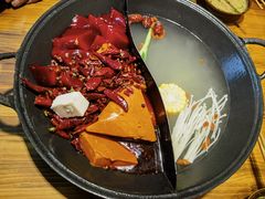 -阳阳老火锅(小南门店)