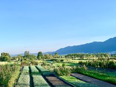 -翠田Green Field Kitchen