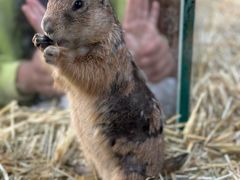 -海合安武汉极地海洋公园