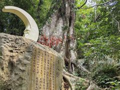 -七仙岭温泉国家森林公园