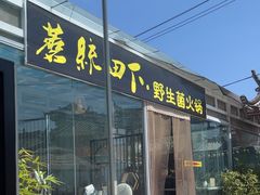 -蘑统田下·野生菌火锅