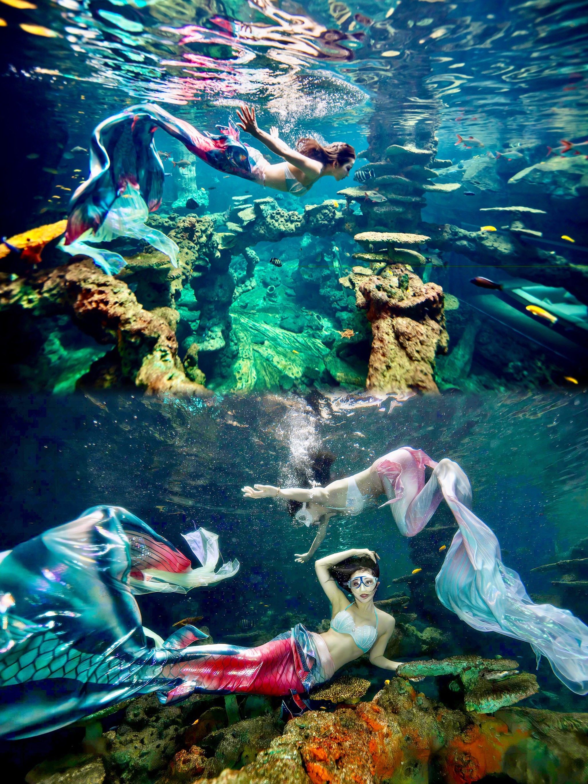 圆一个美人鱼的梦