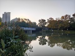 -九里河湿地公园