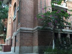 -中山大学学者灵芝(园南路店)