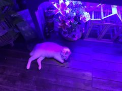 -星宿秘码(鼓浪屿老店)