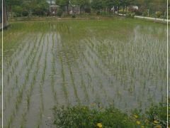 -洪湖家庭农场·团建·露营·会议