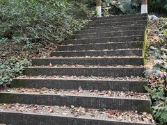 -忠山公园