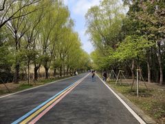 -同里国家湿地公园