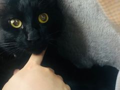-中农国际动物医院24小时·猫科·骨科·急重症中心