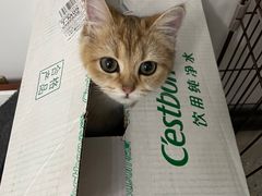 -宠颐生中康贝怡动物医院