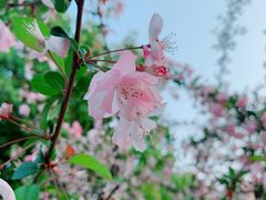 -美兰湖景区
