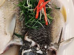 -鹭园酒家·四十年老字号