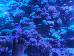 -太平洋海底世界