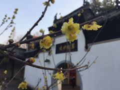 -归元·云集斋素菜馆