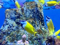 -海合安成都极地海洋公园