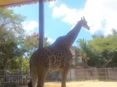 -三亚千古情景区游客中心-接待中心