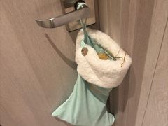 -新加坡文华东方酒店