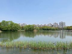 -新江湾城公园