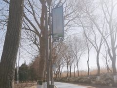 -大兴滨河森林公园