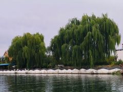 -白洋淀景区