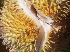 -上海龙吴水胜海发市场