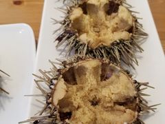 生海胆-海胆小馆(东北水饺·春柳店)